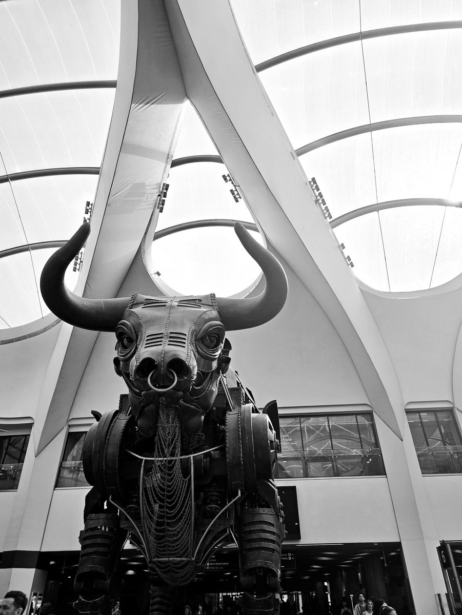 Arrived in Birmingham, next stop VSF 📸 #VSFXII