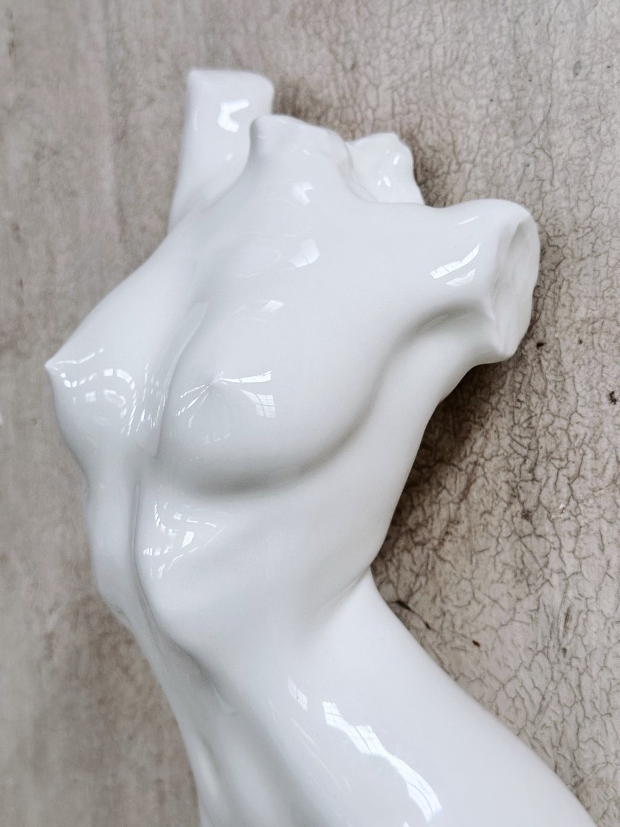 WANIMAL CERAMIC 
【月缺】
清釉高白瓷壁掛
熱銷中
CNY 666 / 只 https://t.co/GOR7WE8aCH