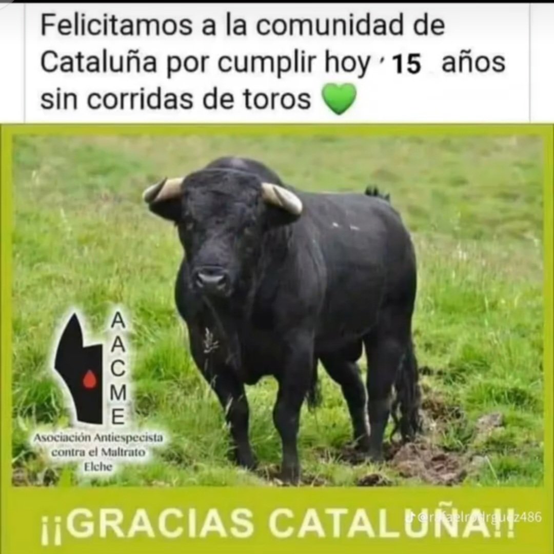 GODELLA EN LLUITA. tweet media