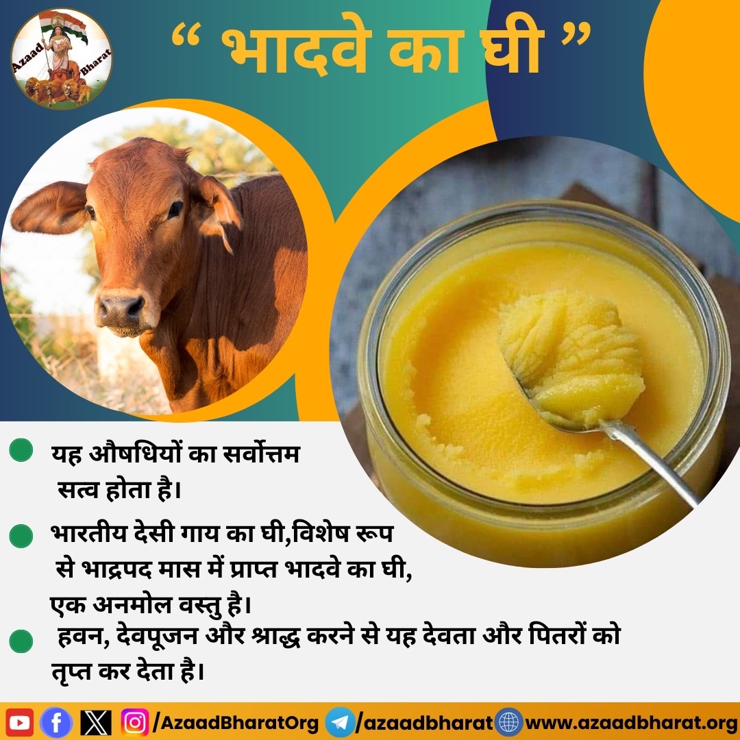 भारतीय देसी गाय का घी, विशेष रूप से भाद्रपद मास में प्राप्त भादवे का घी, एक अनमोल वस्तु है। भाद्रपद के आते ही, घास पक जाती है जो वास्तव में अत्यंत दुर्लभ औषधियाँ होती है।भादो में निकाला हुआ देसी गाय का घी औषधियुक्त है।
पूरी पोस्ट पढ़े 👇🏻
wp.me/p9eZI3-2xF