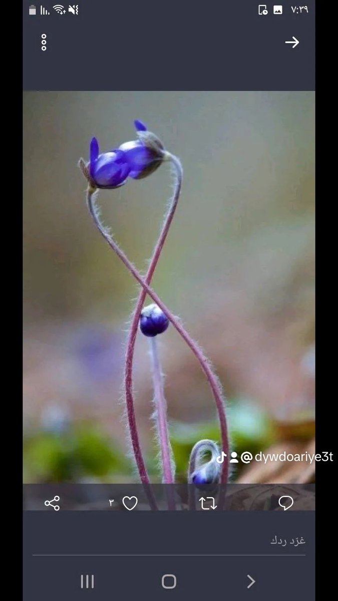 ٱغرس في قلوب الناس
   بذور المحبة
فالحياة لن  تدوم