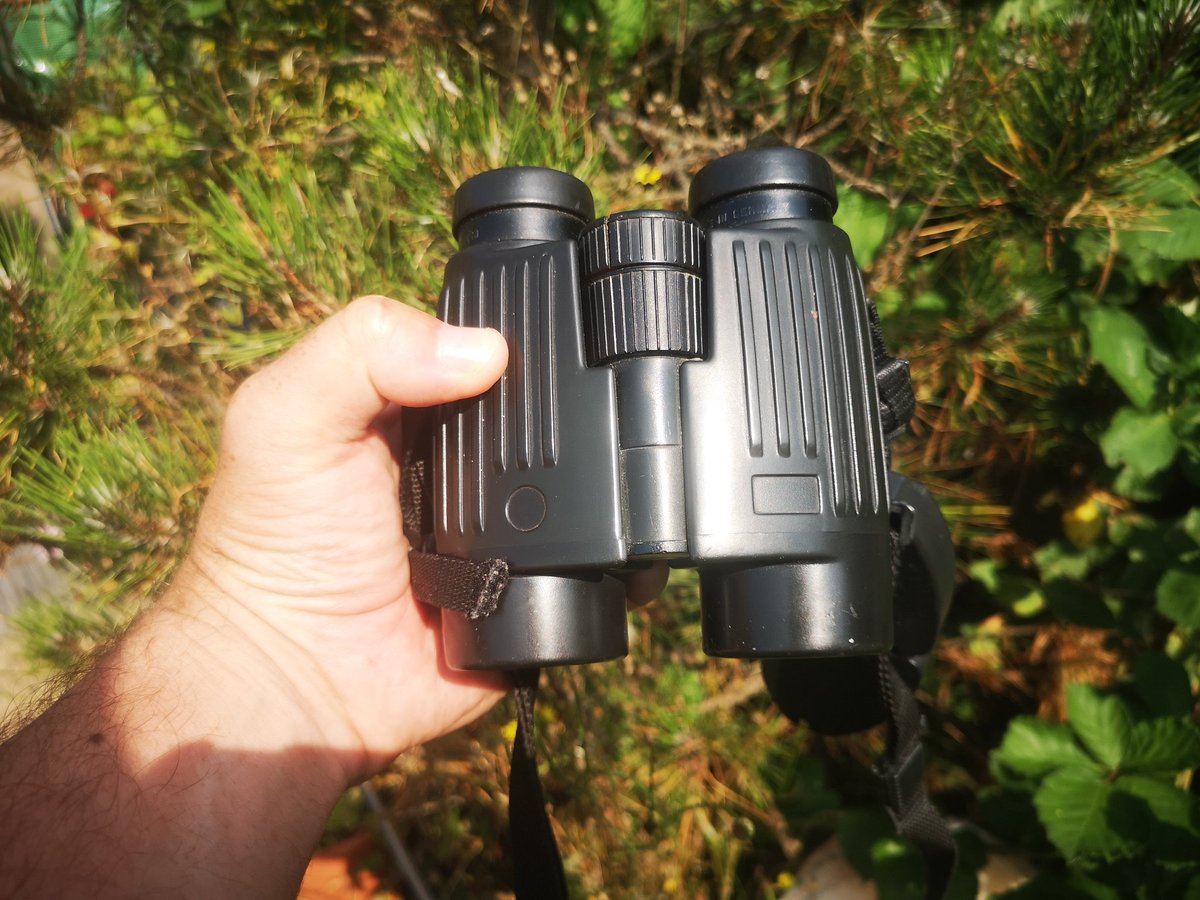 Allan Conlin tweet media