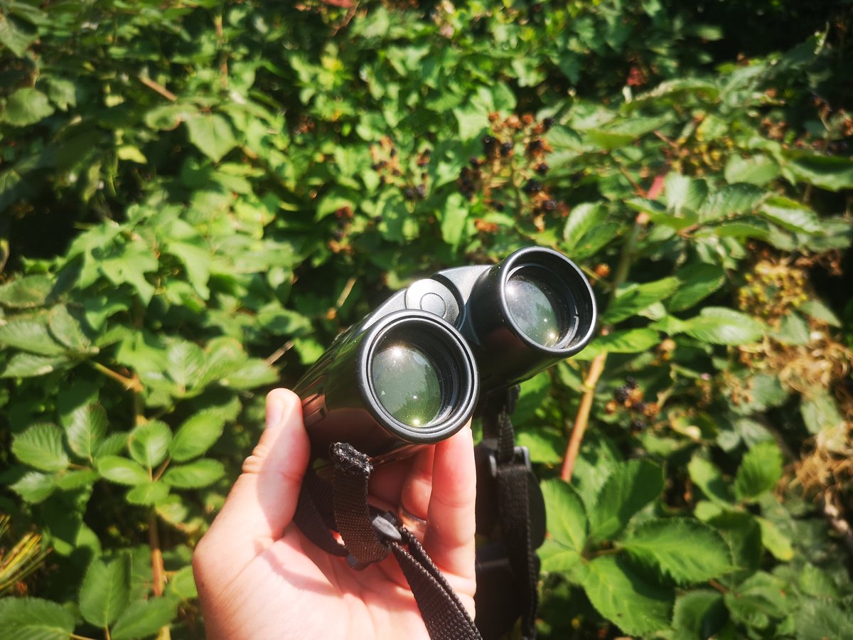 Allan Conlin tweet media