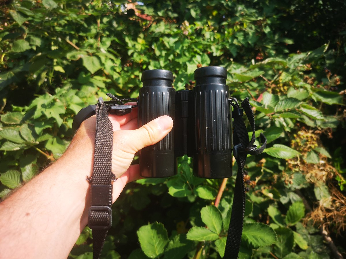 Looking to give away my trusty Lieca BA 8 x 32. Ideally to a young birder starting out.. Good condition. Focus wheel needs some WD40 😉 Re tweets appreciated. DM for details..