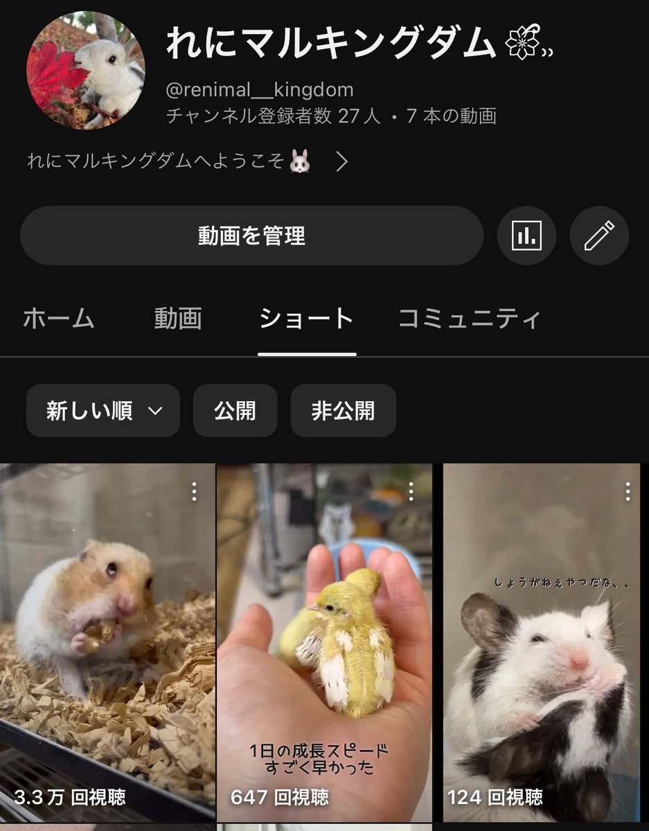 renimal_kingdom's tweet photo. ゴールデンハムスターの
おんなのこ、「チーズ｣が大人気です🧀

皆さんもぜひ見に来てくださいね💕︎ https://t.co/s8gEZ8rzhz