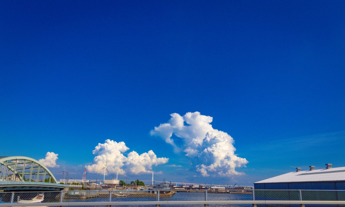 le3d_cg's tweet photo. 夏を感じる3枚 https://t.co/5bpzUUU4Nq