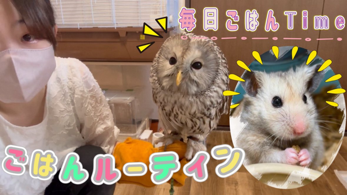 renimal_kingdom's tweet photo. 【もぐもぐタイム】毎日のごはんルーティン🍚 https://t.co/TPdccsjnvE @YouTubeより

日々の疲れを癒されに来てくださいね🚗³₃ https://t.co/Ym4wHPwNps