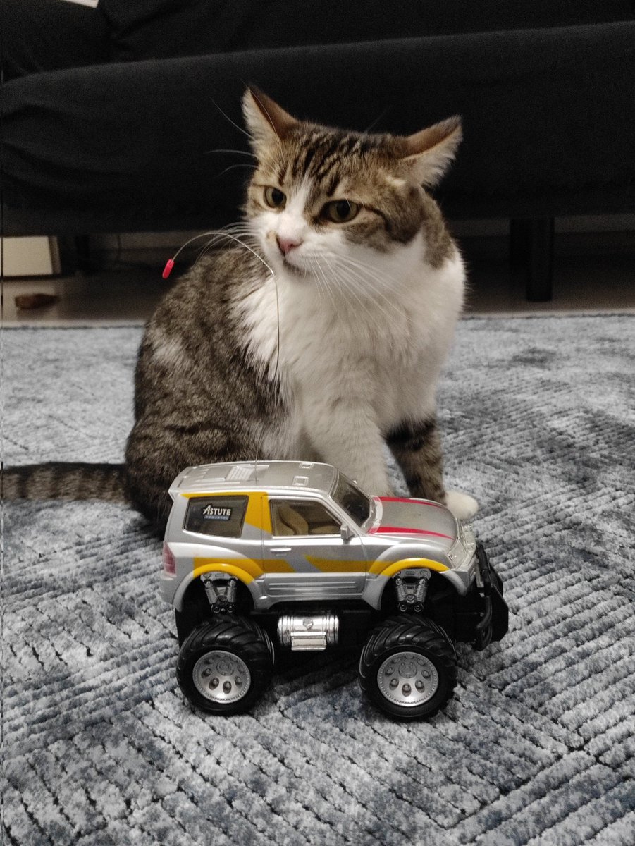 Arabamn kusuruna bakmayn kıslar