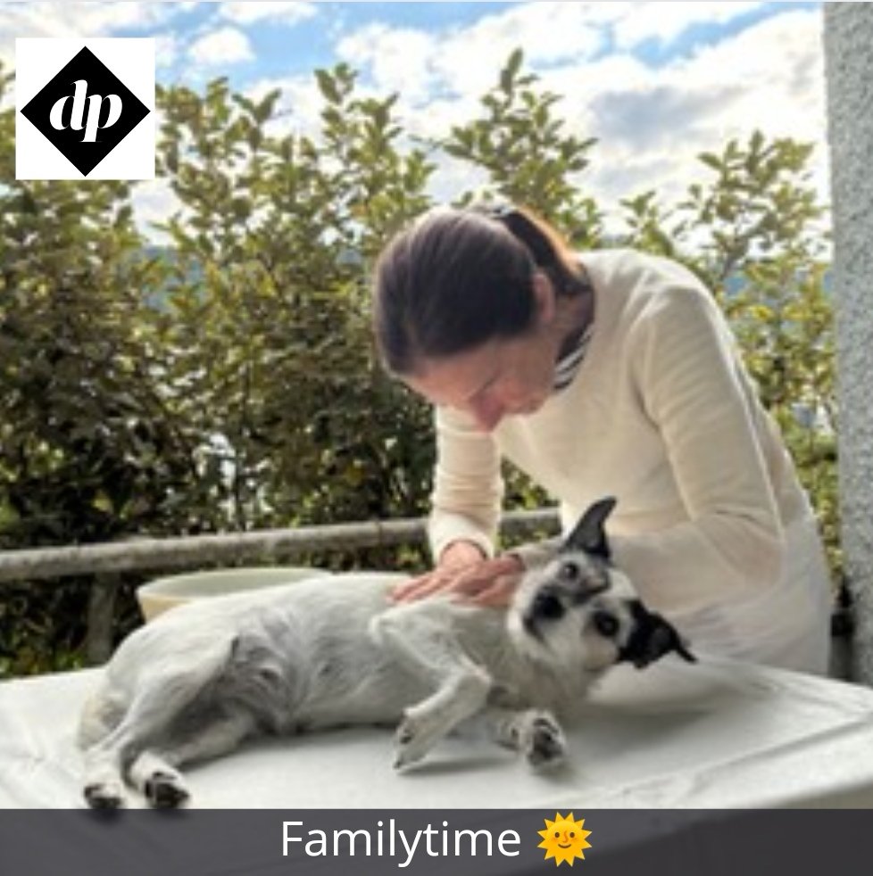 PraxedisDuo's tweet photo. We're enjoying this weekend off together and are on a short trip for three days! Looks like everyone is enjoying life 🌞❤️🐕

#duopraxedis #harp #piano #classicalmusic #ClassicalMusicians #summer2024 #Queen #dogsofinstagram #holiday #family https://t.co/Lh6lGB9zRB