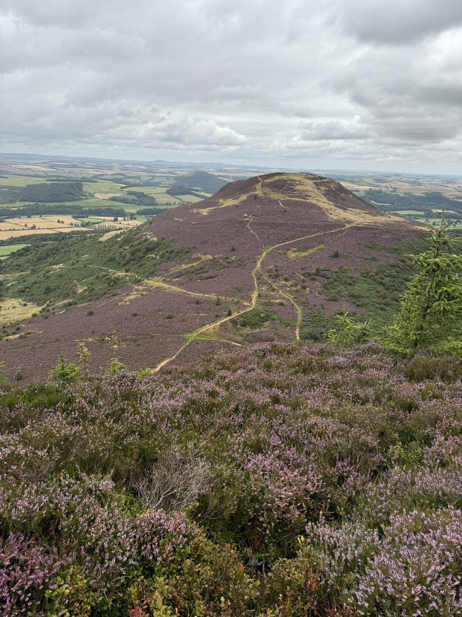 Biggest Eildon done non stop-first time for me. Mission accomplished!