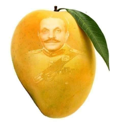 مٹانے پہ آئے تو آم جیسا میٹھا پھل بھی سیکنڈز میں آپ کو کھا جاتا ہے۔ 
#HappyMangoDay
#ziaulhaqmardood
