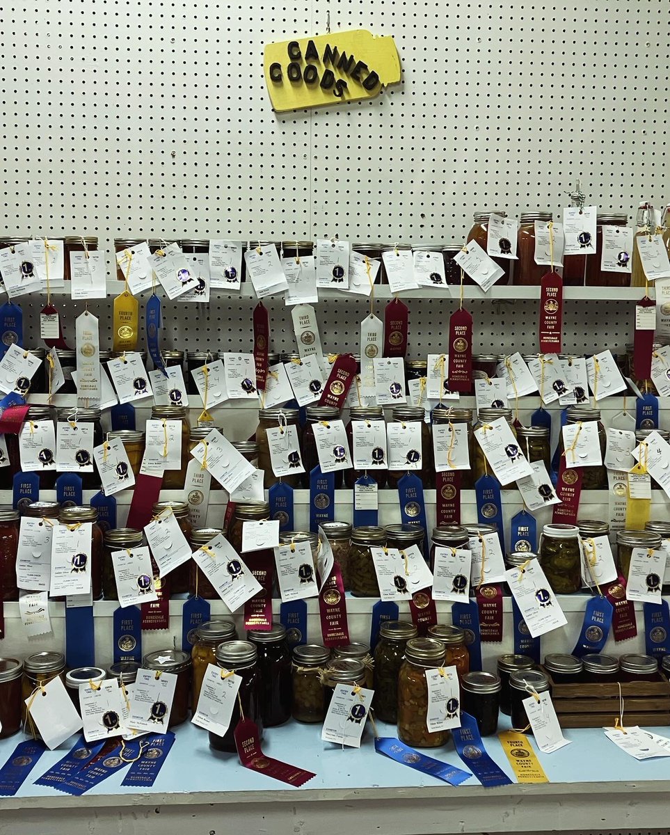 michael sarff tweet media