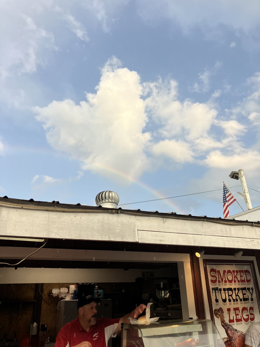 michael sarff tweet media