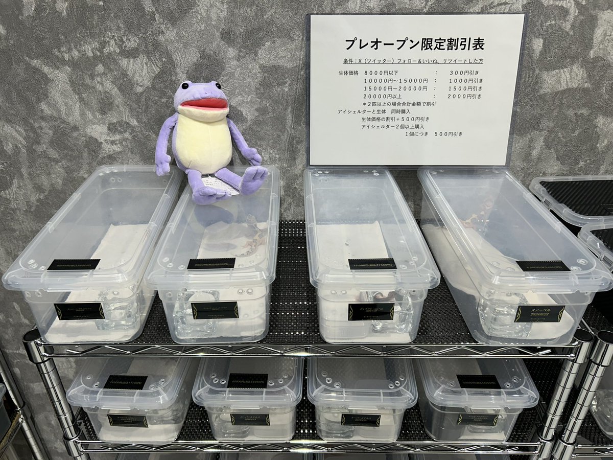 いよいよ明日プレオープンします！！