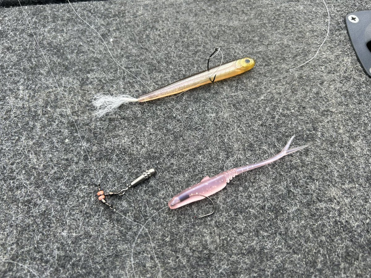 takaki_0706's tweet image. 先日、兵庫県青野ダムにて開催されたSFC lightsトーナメントでキャッチした2kgオーバーの水面バイト＆ライブスコープ映像です🎥

ライブスコープでバスを見つけてアプローチ→目視出来る場所まで引っ張る→あとはサイトで頑張るって感じです🤝

【ボートセッティング】
#force
#ECHOMAP Ultra 122sv…