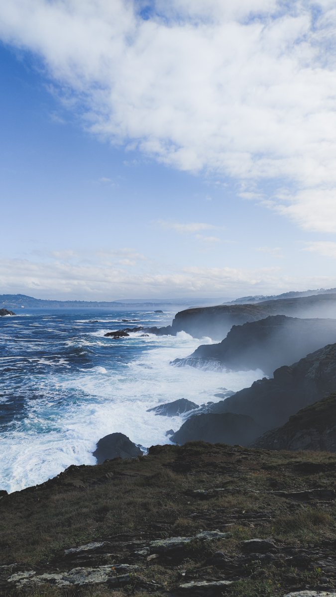 MrHalstead_'s tweet photo. Galicia como forma de vida. https://t.co/u125BcpayR