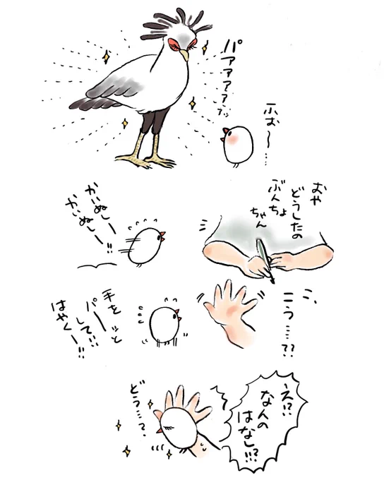 ヘビクイワシになりきるぶんちょ
#なりきりぶんちょ 