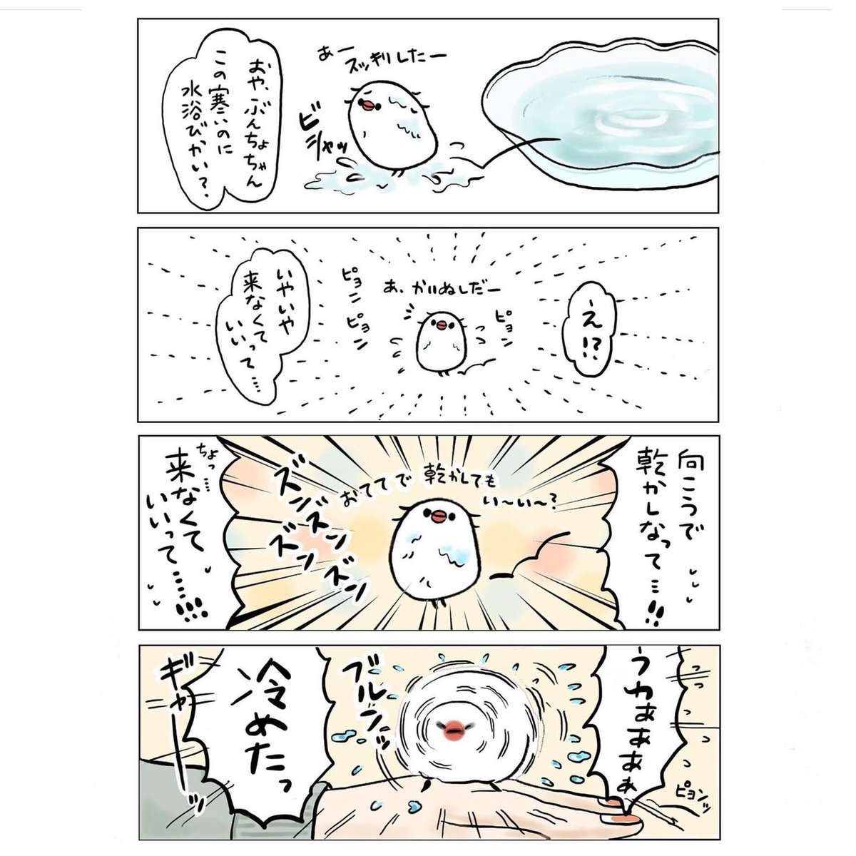 明日はBOOTHの更新をします🐦
水浴び後のブルンッ(再掲) 