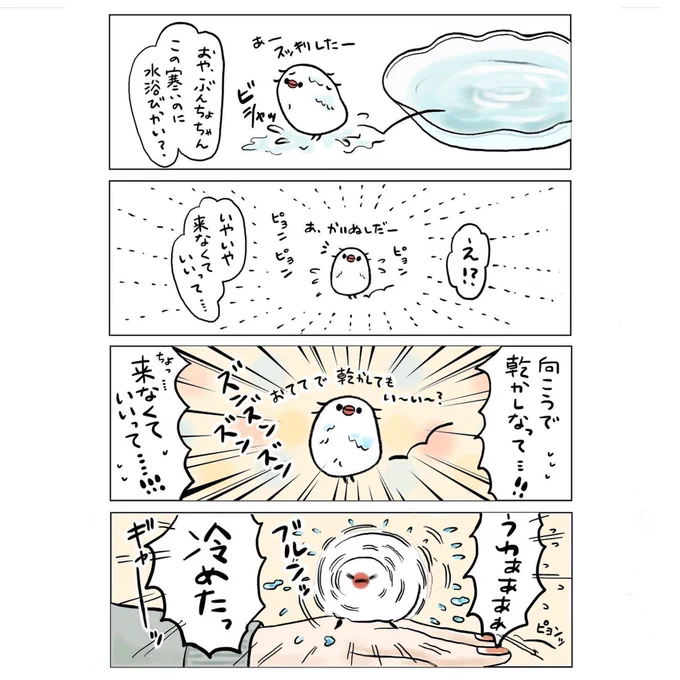 明日はBOOTHの更新をします🐦
水浴び後のブルンッ(再掲) 