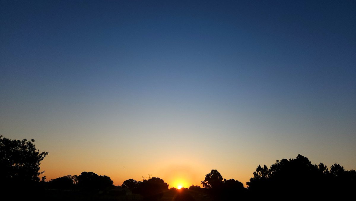 SDWAuthor's tweet photo. Good morning, Lord.
August 17, 2024, Day 230
Who his own self bare our sins in his own body on the tree, that we, being dead to sins, should live unto righteousness: by whose stripes ye were healed. (1Peter 2:24)
#goodmorning #goodmorninglord #floridasunrise #sunrise #bibleverse https://t.co/CiH7wrGsUQ