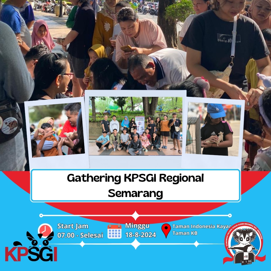 Halo temen-temen KPSGI,kita ada gathering rutinan nih
Tempat :Taman Indonesia Kaya / Taman KB
Hari : Minggu 18 Agustus 2024 
Jam : 07.00 WIB - Selesai

Jangan lupa dateng yaaa

Care Sugar Glider, Think KPSGI 
Ngrumat Sugar Glider, Ngilmu KPSGI
#kpsgi  #sugarglider #kpsgisemarang