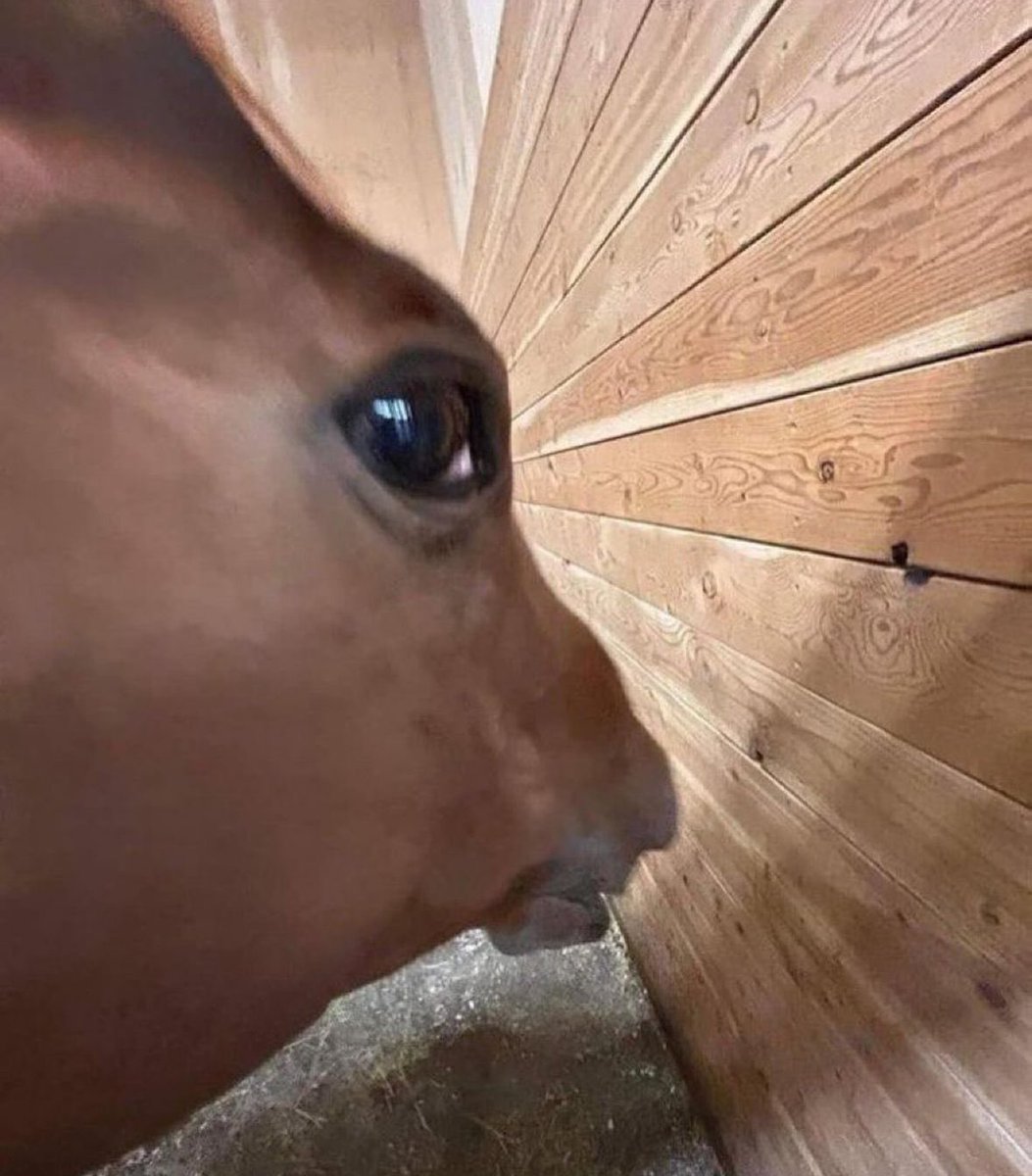 Today there will be a new post of one of my last commissions!

Coming back to life from the ashes 👁️👄👁️