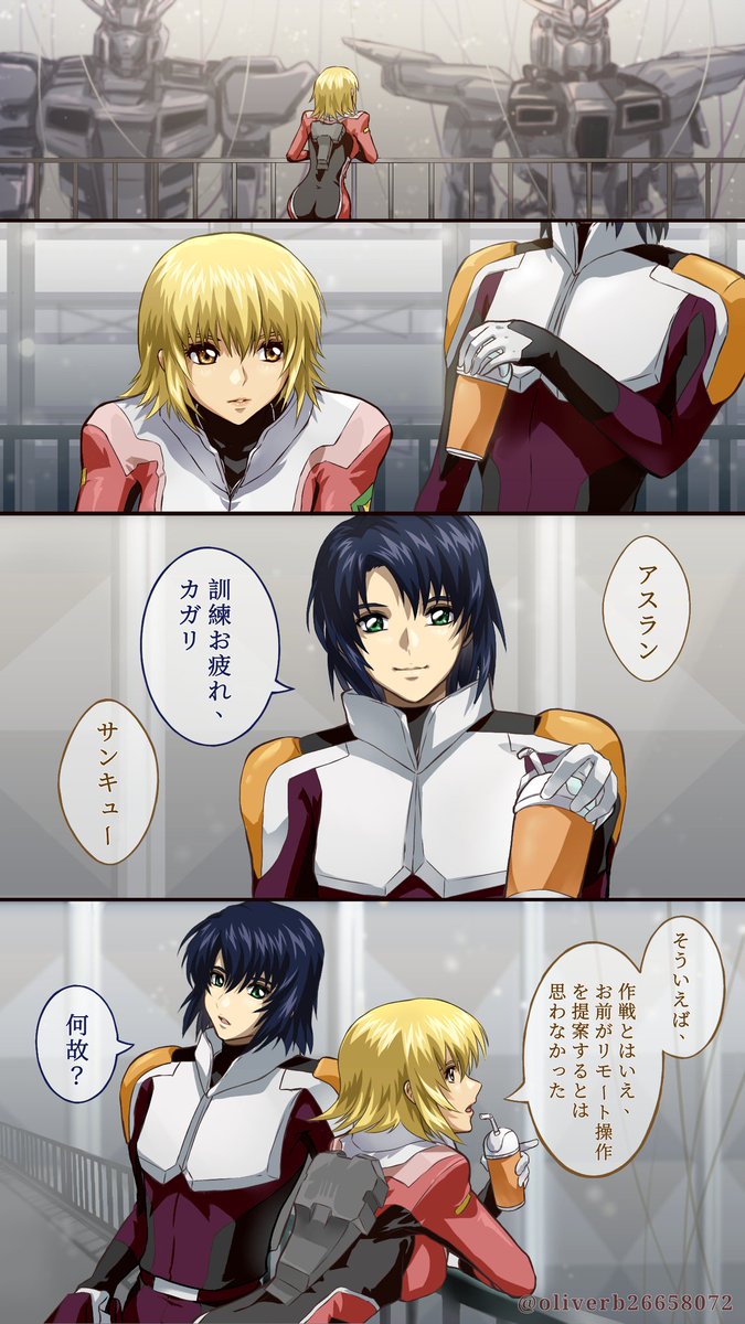 機動戦士ガンダムSEED アスラン×カガリ アスカガ小説 真逆のモザイク
