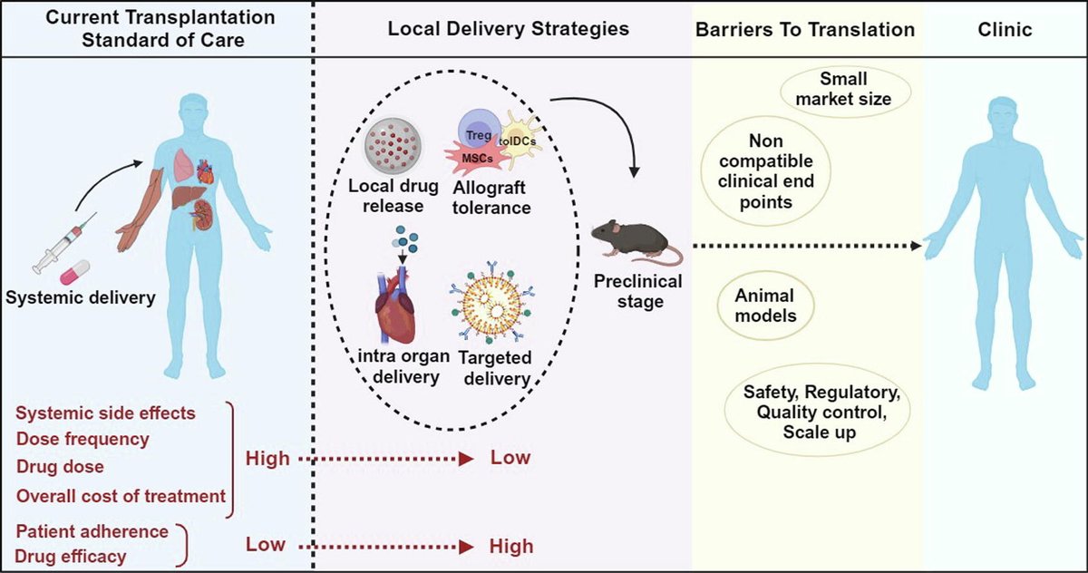 Editors of Advanced Drug Delivery Reviews (@addreditors) on Twitter photo ADDR in press: Drug delivery strategies for local immunomodulation in transplantation: Bridging the translational gap.
By Steven R. Little & coworkers <a href="/ChemePitt/">Pitt ChemE</a> <a href="/think_little/">Dr. Steve Little</a>
#hydrogel #implant #immunomodulation #transplantation #ClinicalTranslation
doi.org/10.1016/j.addr… ADDR in press: Drug delivery strategies for local immunomodulation in transplantation: Bridging the translational gap.
By Steven R. Little & coworkers <a href="/ChemePitt/">Pitt ChemE</a> <a href="/think_little/">Dr. Steve Little</a>
#hydrogel #implant #immunomodulation #transplantation #ClinicalTranslation
doi.org/10.1016/j.addr…