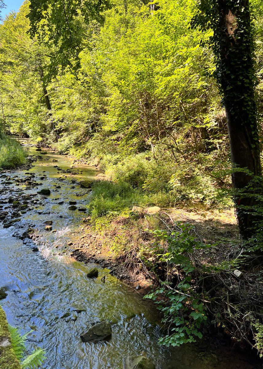 renedekoff's tweet photo. Genoten van de prachtige natuur in Luxemburg. Heerlijke fiets en wandeltochten langs prachtige dorpjes. #luxemburg #verrassend https://t.co/686msfmyNu