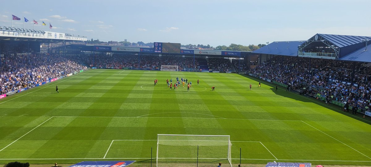 The Bear tweet media