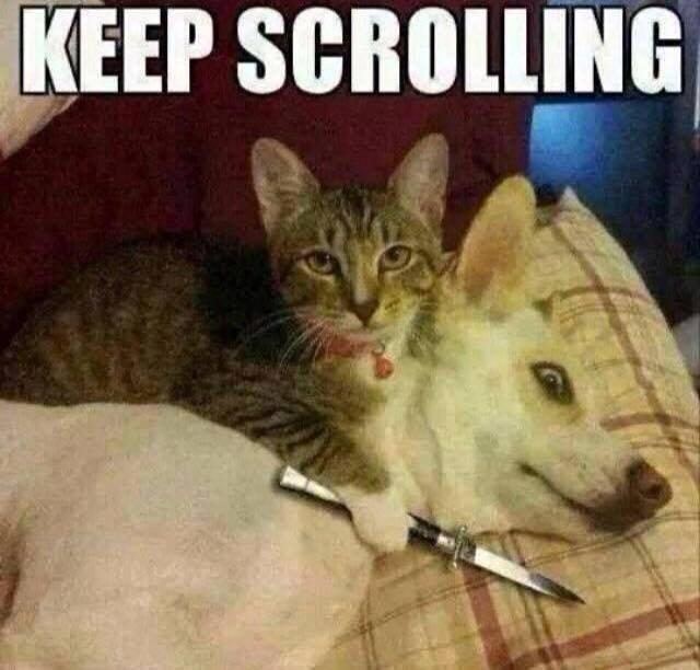 GVLjYMtWgAAZLm9?format=png&name=small