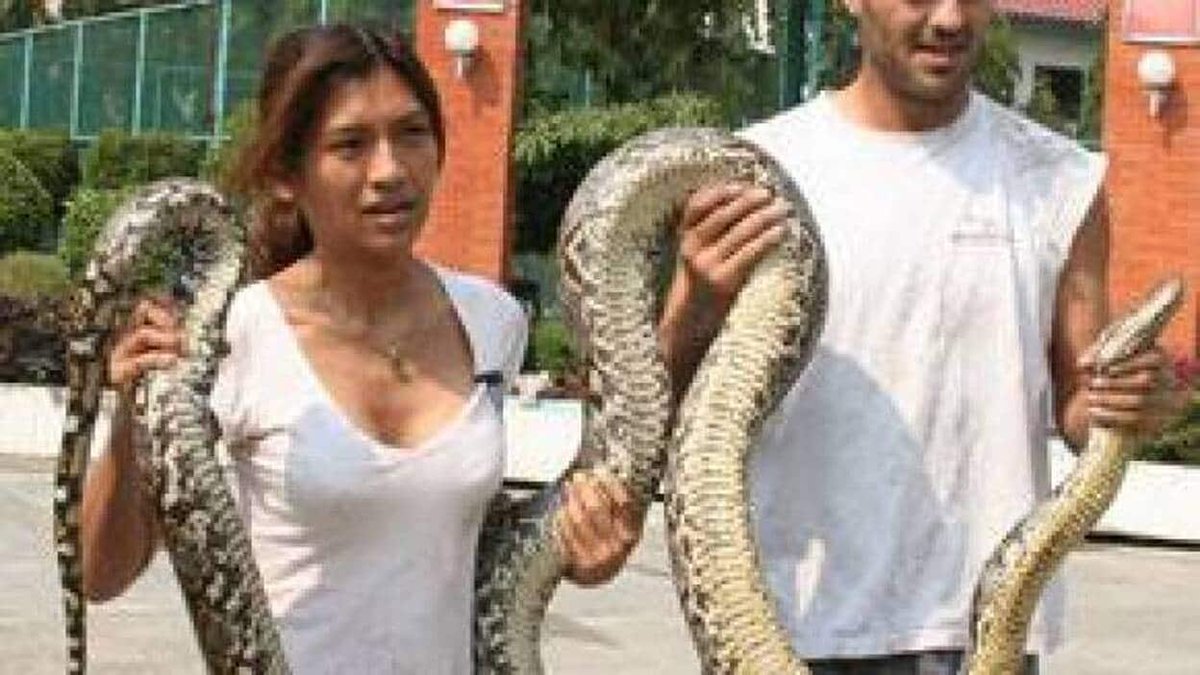 JuandaRM7's tweet photo. @Frank_Cuesta @martitaRM_ Frank Cuesta con el animal más peligroso del mundo. Ambos sostienen una bella serpiente. 

Ánimo, crack https://t.co/dlaAqA3Jfz