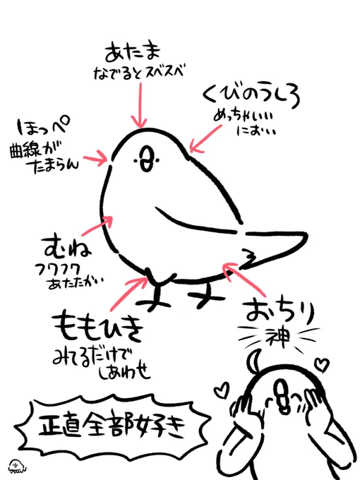 人間と文鳥、お互いに好きなところを挙げてみる 