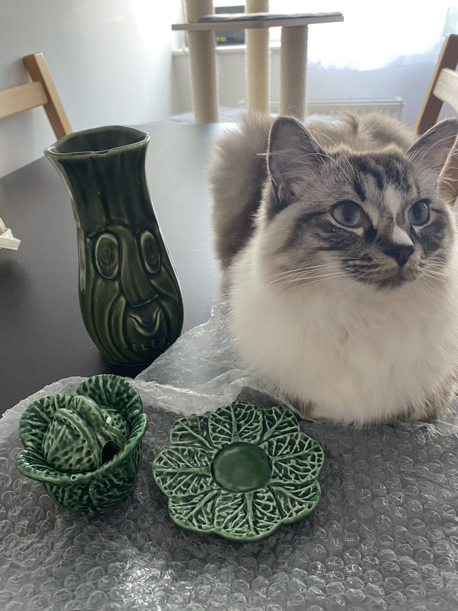 Got two absolute weird gems at the flea market and Ranni thinks they‘re for her