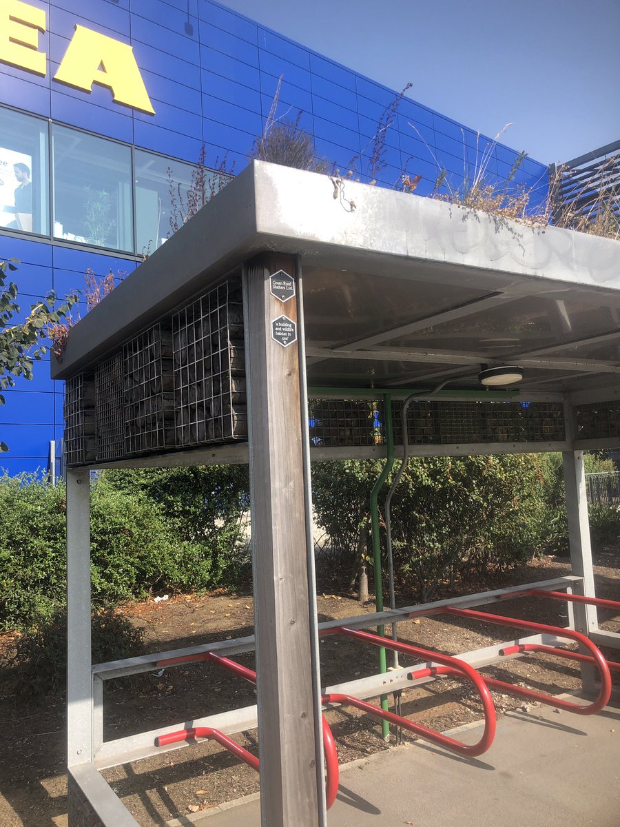 TubbyBats's tweet photo. I also found this wild life friendly bike stands. #insecthotels #birdbox #wild spaces. https://t.co/amsPUOStTm