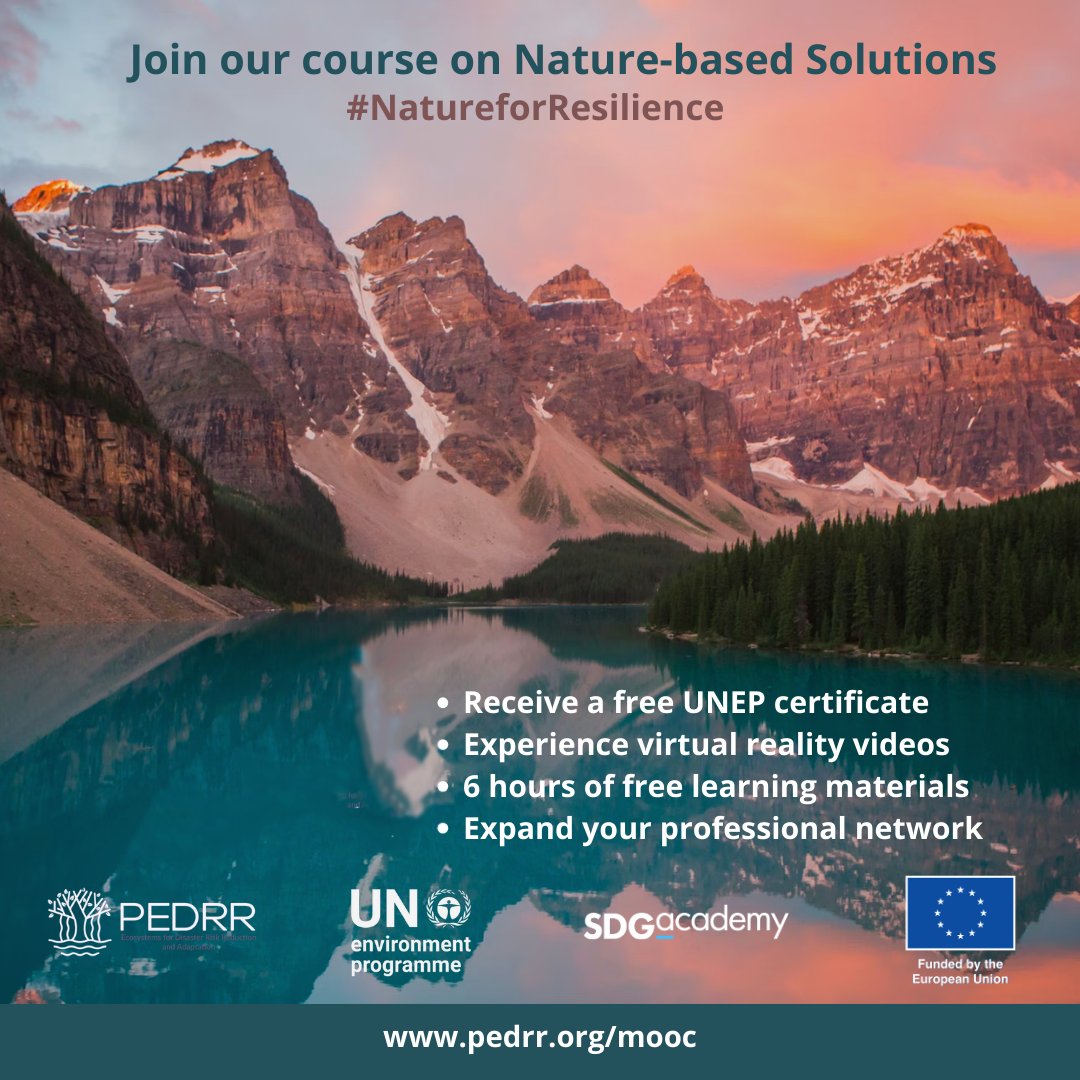 Free #NatureBasedSolutions training!

🌱 Nature-based solutions are key to addressing the climate crisis &amp; increasing disaster resilience. 

Learn how with this 🆓UNDRR-supported online course.

🖥️ Signup now!  ➡️ ow.ly/2cEV50SXmRk #CareersInResilience #NatureForResilience