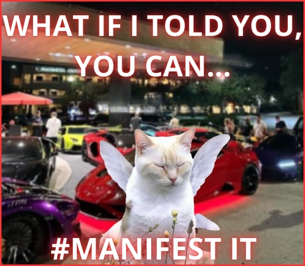 pretty soon you'll be living your dream🔮✨ #manifest it