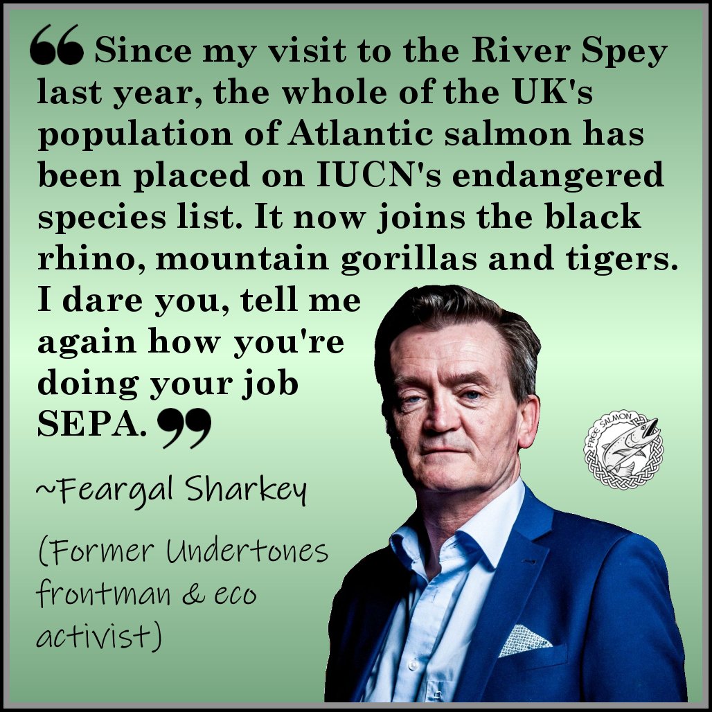 Free Salmon (@salmon_free) on Twitter photo The salmon farmers love to say that Scotland has some of the highest regulations in the world. Even if it was true, lucky for them no one enforces them.
Thank you <a href="/Feargal_Sharkey/">Feargal Sharkey</a> for speaking out about SEPA The salmon farmers love to say that Scotland has some of the highest regulations in the world. Even if it was true, lucky for them no one enforces them.
Thank you <a href="/Feargal_Sharkey/">Feargal Sharkey</a> for speaking out about SEPA