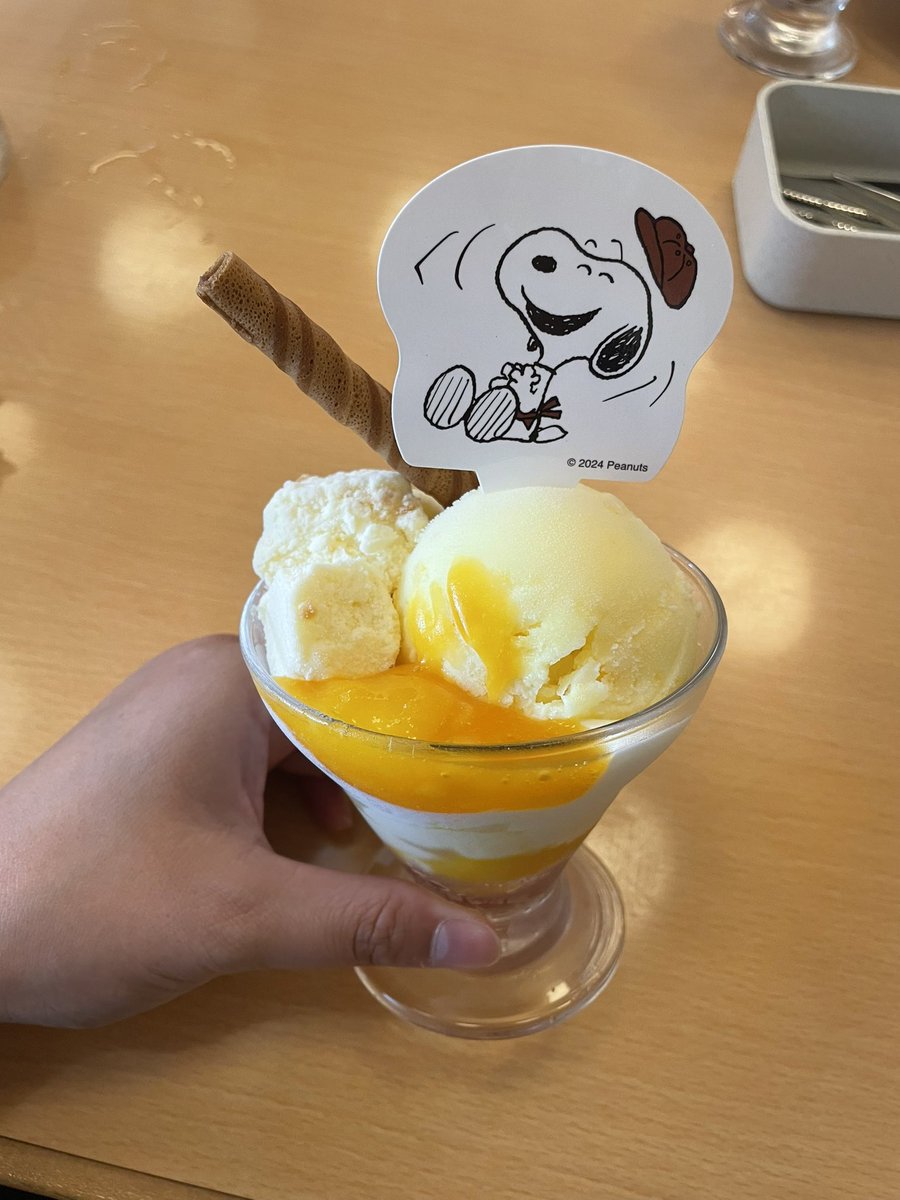 第2弾のスヌーピーファイルをもらいに
またまたジョイフルに行ってきました！
前回と違うのを食べましたが
今回もどれも美味しかったです😋
トートバッグ欲しいです🥺

#スヌーピージョイフルコラボ