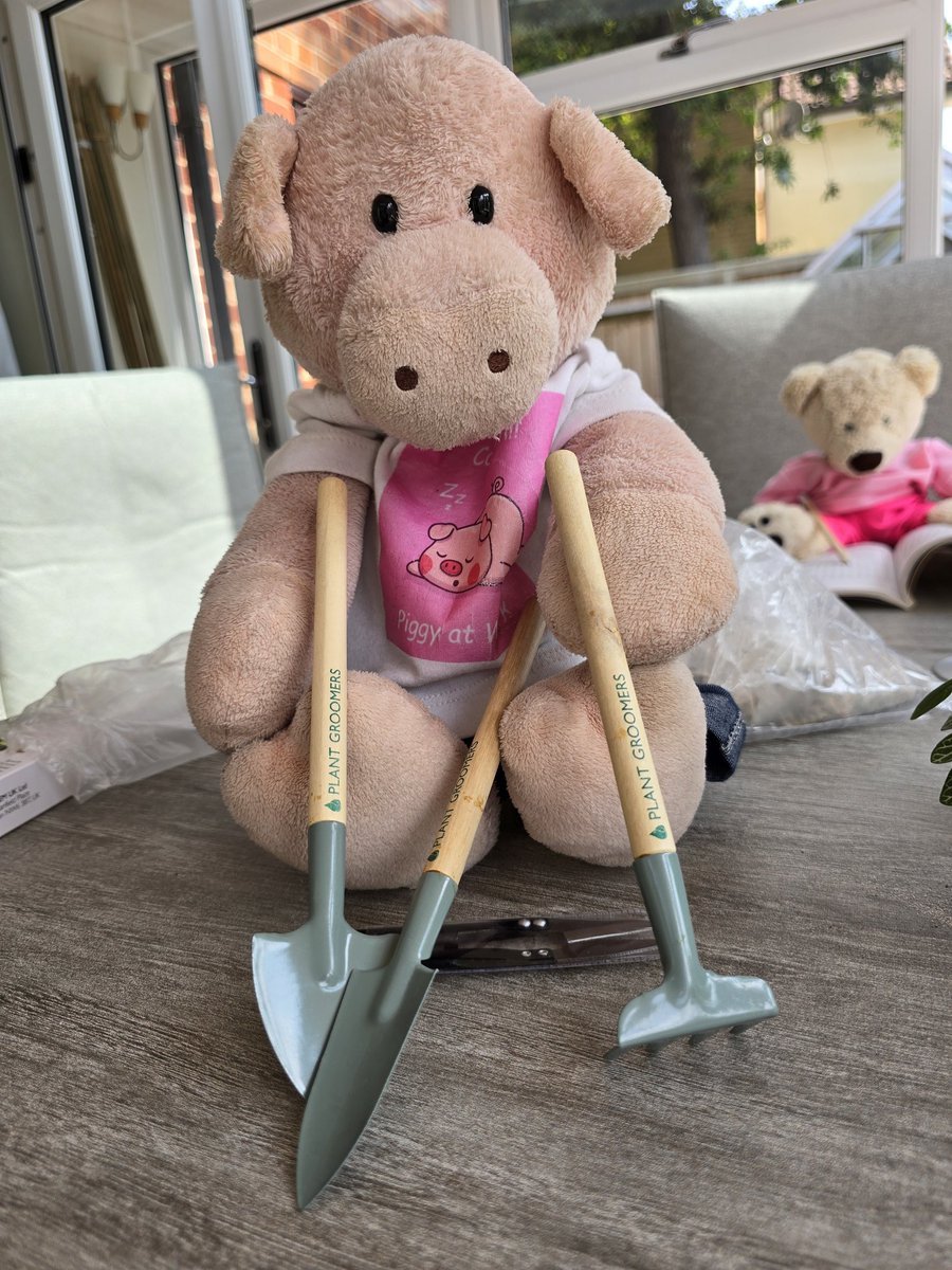 Peragwin1's tweet image. I've been making a terrarium with girl hoom. @NancyBear15 is busy doing a wordsearch
There are even piggie sized tools. *excited ears*