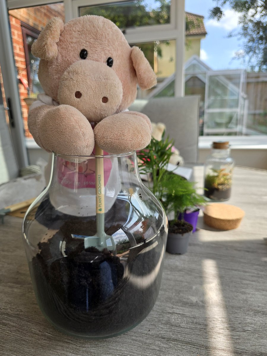 Peragwin1's tweet image. I've been making a terrarium with girl hoom. @NancyBear15 is busy doing a wordsearch
There are even piggie sized tools. *excited ears*