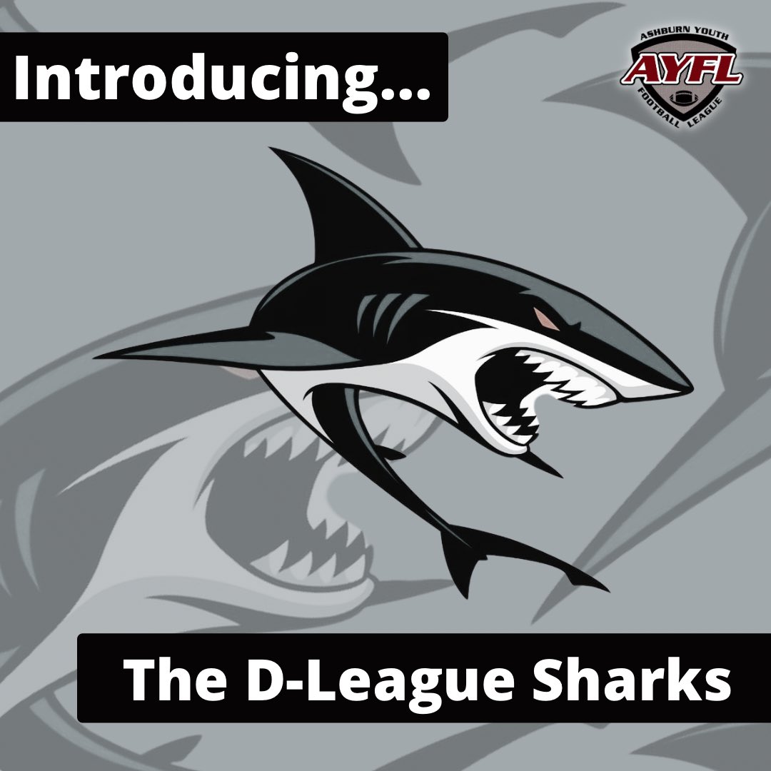 Today’s the jamboree! Who’s excited? Let’s introduce the final two 2024 Fall Tackle teams!

Next up: The D-League Sharks
Sponsored by: <a href="/DICKS/">DICK'S Sporting Goods</a> 

Let’s go, Sharks! Have a great season!

#AYFL #Ashburn #Loudoun #NOVA #YouthFootball #Football