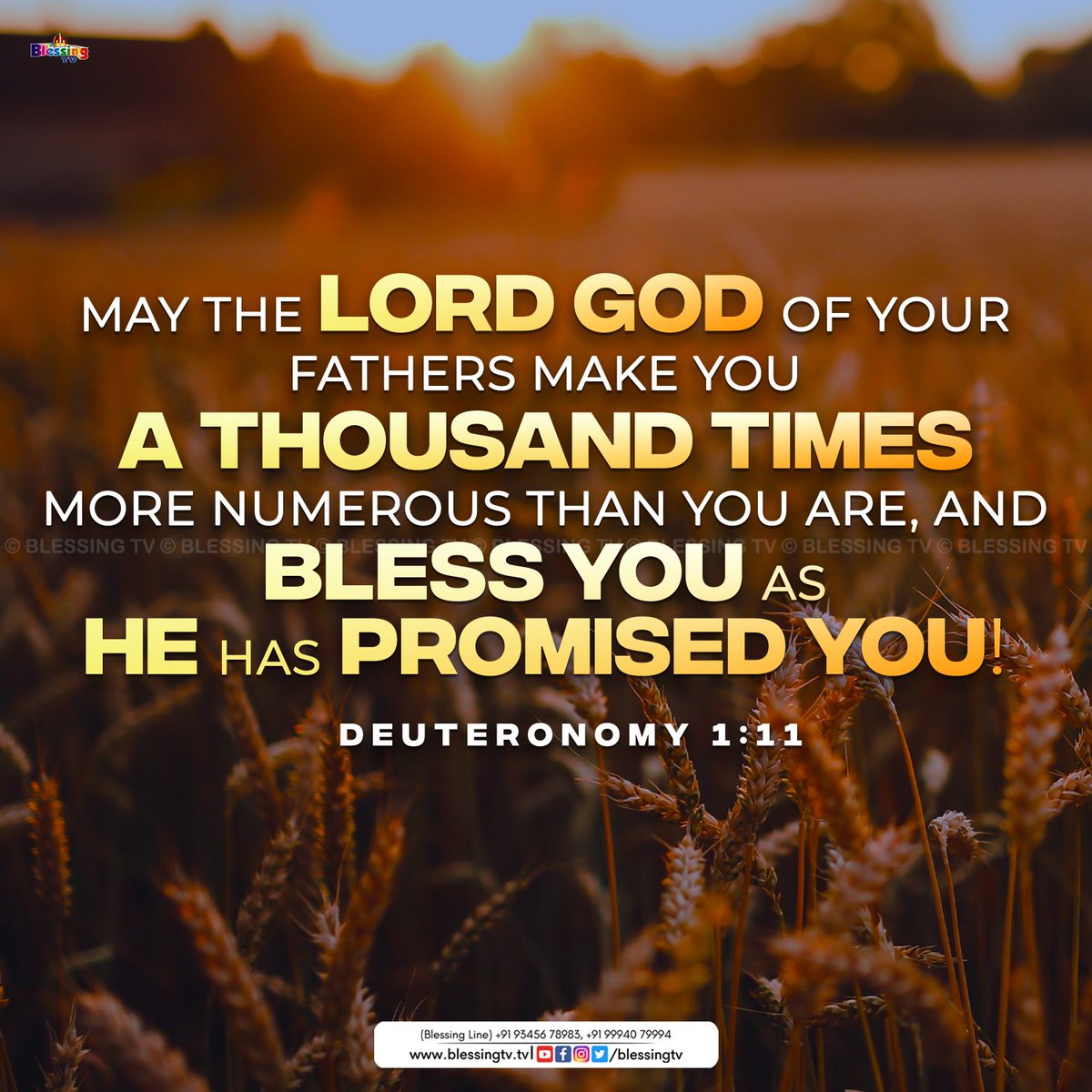 aaseervatham_tv's tweet image. Daily Manna | 17 Aug
May the Lord God of your fathers make you a thousand times more numerous than you are, and bless you as He has promised you!
Deuteronomy 1:11