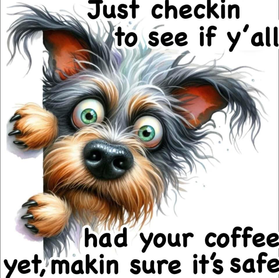 CraigSearle1's tweet photo. https://t.co/uTMUEps4tY