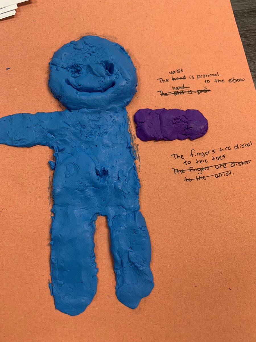 The teaching environment is different this school year, but what remains the same is my passion for student success 👩🏾‍🔬👨🏼‍🔬! It’s safe to say that this Human A&amp;P student 🩻understands the anatomical position, directional terms and planes of the body 👏🏾! #Steam