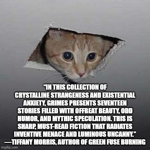 IvyGri's tweet image. GLASS STORIES blurb from @tiffmorris, award-winning author whose wonderful poems, stories, and novella Green Fuse Burning are necessities in this life