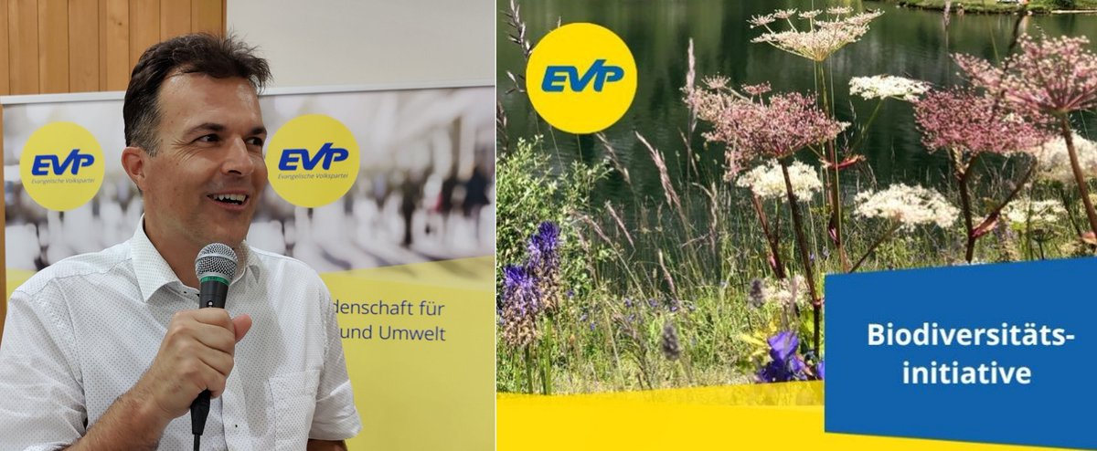 Die #DVEVPBE unterstützt auf Antrag von EVP-NR <a href="/MarcJost/">Marc Jost</a> sowohl die #Biodiversitätsinitiative als auch die #BVGReform sehr deutlich.
#Biodiversität #JazurBiodiversitaet <a href="/biodivInit/">Biodiversitätsinitiative</a> @JA_BVG #Abst24 #CHVote 
Hier unsere Medienmitteilung ⏬
evp-be.ch/newsartikel/ja…
