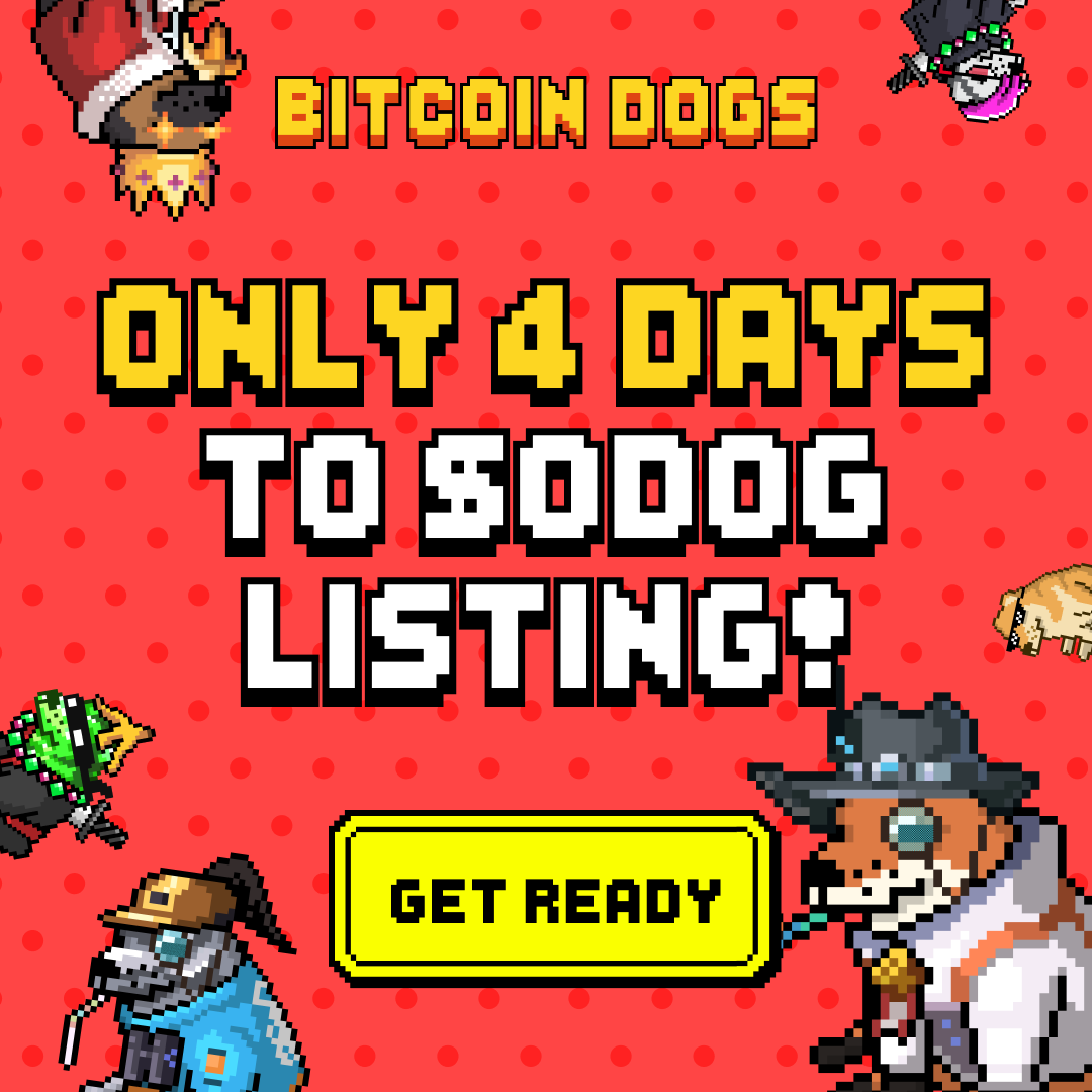 BitcoinDogsClub tweet media