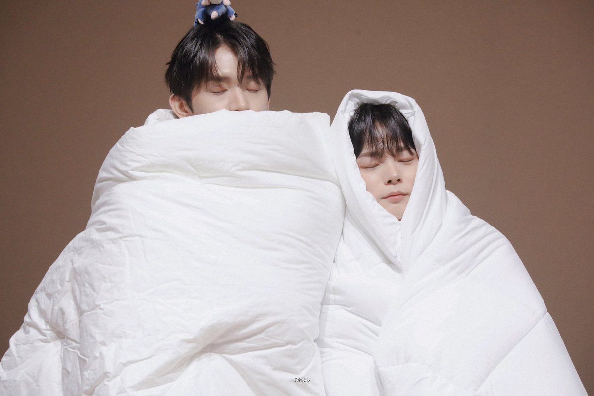 240817 예차니 코 자요 #신예찬 #루시