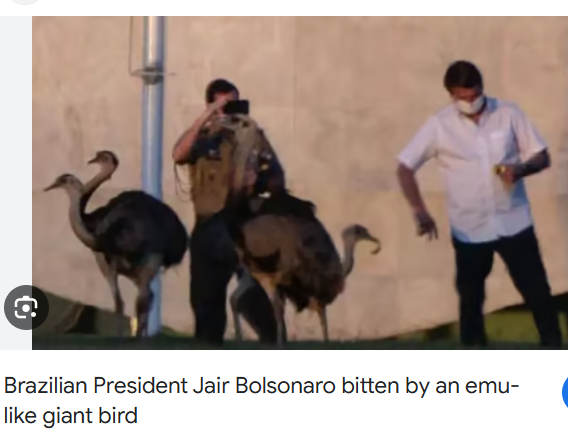 <a href="/BrianMteleSUR/">BrianMier</a> The animals have been plotting